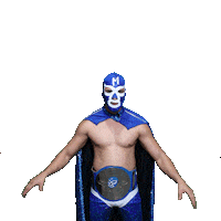 maskadorestacoshopaz wrestling wrestler lucha lucha libre Sticker