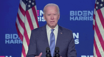 Joe Biden Were Americans GIF by Election 2020