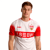 Daumen Hoch Thumbs Up GIF by VfB Stuttgart 1893