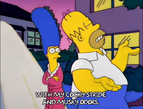 homer simpson GIF