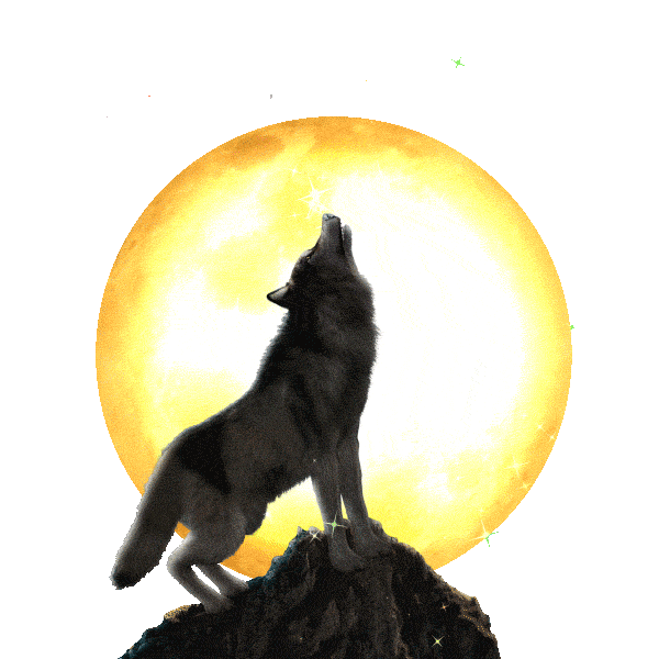 Hungry All Night Sticker by chris timmons