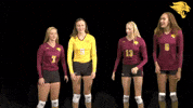 Cuc GIF by CUCougars