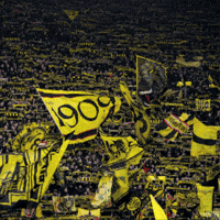 GIF by Borussia Dortmund