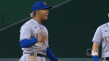 Major League Baseball No GIF by MLB
