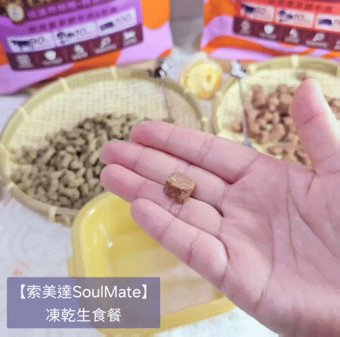 體驗｜2025寵物開箱｜【品果國際】索美達SoulMate飼