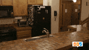excited be the best GIF by @SummerBreak