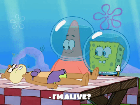 season 8 bubble troubles GIF by SpongeBob SquarePants
