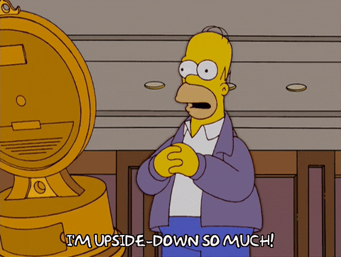homer simpson GIF