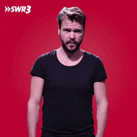 Oh Yeah Yes GIF by SWR3