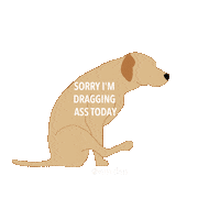 lovehuvet ass drag vet veterinary Sticker