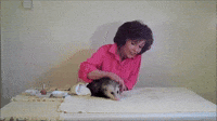 Best of Opossum Lady