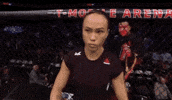 ufc 229 sport GIF by UFC
