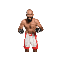 Mixed Martial Arts Mma Sticker by BRAVE Combat Federation