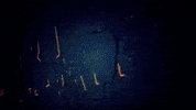 Golden Eagles Oru GIF by Oral Roberts University