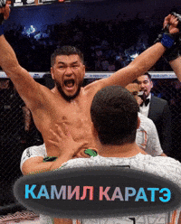 Octagon Tajikistan GIF