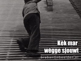 Brabant Klussen GIF by BrabantinBeelden