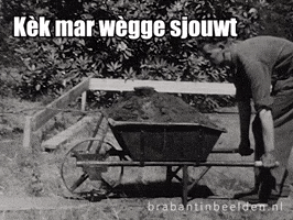 Werken Klussen GIF by BrabantinBeelden