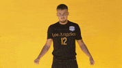 Cal State La Soccer GIF by Cal State LA Golden Eagles