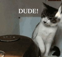 GIF by Demic