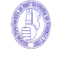 cpfcyl fisioterapia physiotherapist castilla y leon cyl Sticker