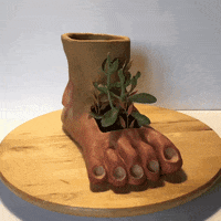 MISTERTHOMS  GIF