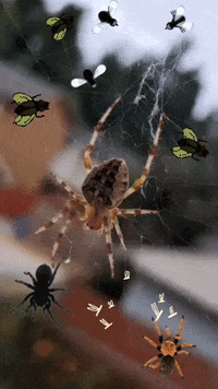 John Sullivan Halloween GIF