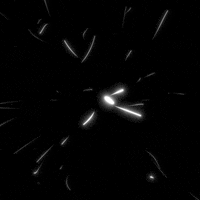 Black And White Loop GIF by xponentialdesign