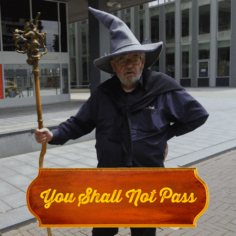 You Shall Not Pass Lord Of The Rings GIF by BNNVARA