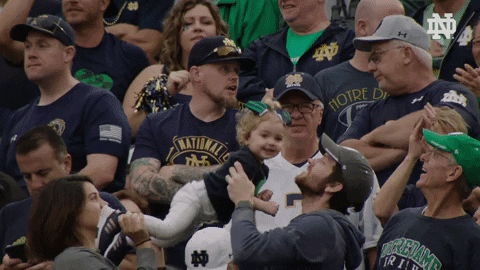 Notre Dame Touchdown GIF by Notre Dame Fighting Irish