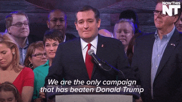 donald trump news GIF by NowThis 