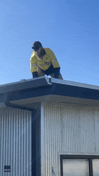 Snake Catcher Balances on Roof During Tricky Removal of Deadly Brown Snake