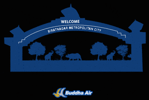 BuddhaAir travel flight buddha air biratnagar GIF