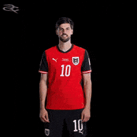Fifa World Cup Austria GIF by Respective