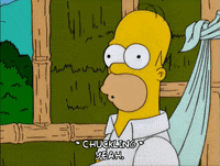 homer simpson GIF