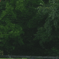 University Of Louisville Golf GIF by Louisville Cardinals