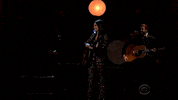 stephen colbert GIF