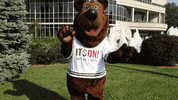 missouristate missouri state missouri state bears missouristate missouri state university GIF