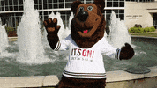 missouristate boomer missouri state missouri state bears missouristate GIF