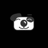Tierfotostudio dog logo hund tierfotostudio wien GIF