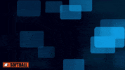 Carson Newman Cn GIF by Carson-Newman Athletics