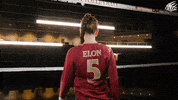 College Athletics Ncaa GIF by Elon Phoenix