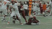 Team Ncaa GIF by Texas State Football