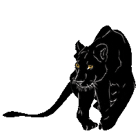 doffaycollection cat fashion luxury jaguar Sticker