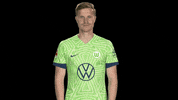 Yannick Gerhardt No GIF by VfL Wolfsburg