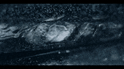 Music Video Vibes GIF by Chelsea Wolfe