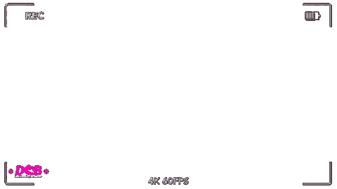 Web Dcb Sticker by DEL COUNTRY BROTHERS