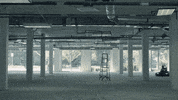 will forte fox GIF by The Last Man On Earth