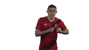 Rode Duivels Belgium Sticker by Royal Belgian FA