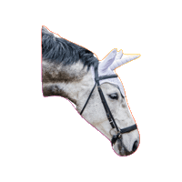 Lietjesmarket horse unicorn lietjesmarket Sticker