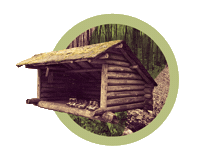 Hiking Camping Sticker